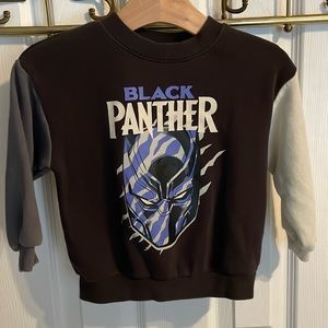 Toddler Boys H&M Colorblocked Black Panther Sweatshirt Size 2T